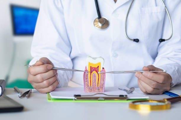 Best Emergency Dentist for Knocked-Out Tooth in Knox, PA